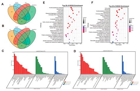 Full-Length Transcriptome of Testis and Ovary Provides Insights into ...