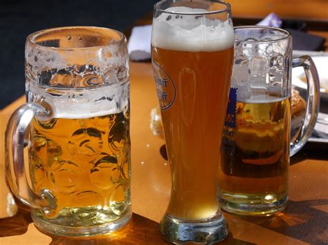 Hotel in Valdosta, GA near Wild Adventures | Holiday Inn Valdosta ...