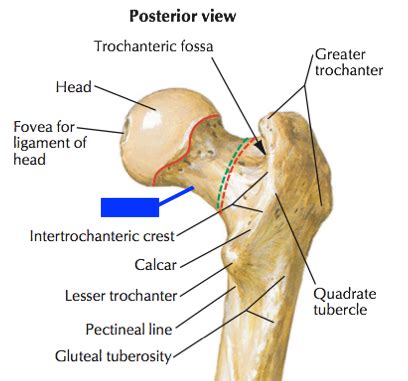 Image result for Computer Project Model Unique