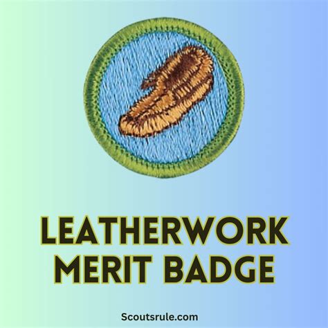 Collections Merit Badge Guide - Scouts Rule