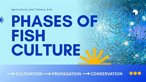 Phases of Fish Culture and Classification of its Habitat.pdf