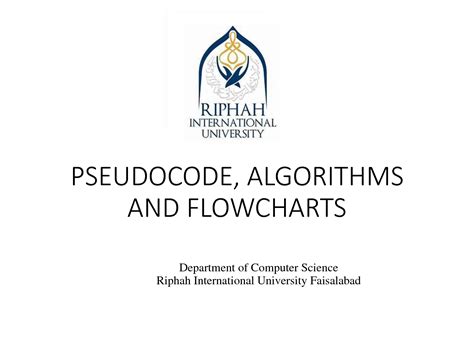 How to Write a Pseudocode Algorithm 的图像结果
