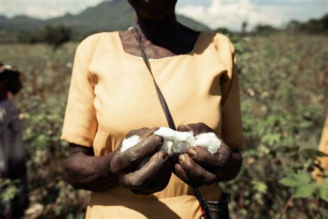 ABCD Community Partnership Program 的图像结果