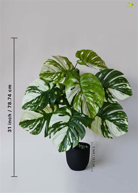 Artificial Monstera deliciosa Plant – 78 cm, 12 Leaves, with Basic Pot ...