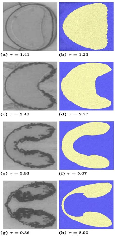 Interaction of Shock Waves with Discrete Gas Inhomogeneities: A ...