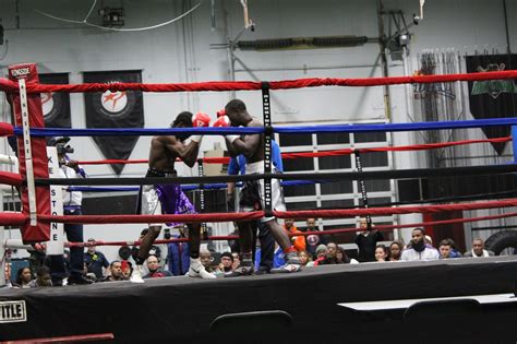 Boxing Win 的图像结果