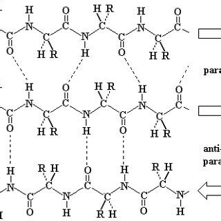 5: Protein secondary structure: α-Helix | Download Scientific Diagram