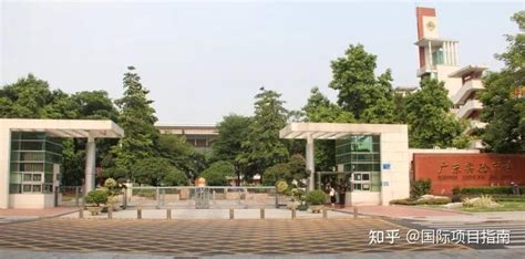 广东中学国际学校排名前十(广东排名前十的国际学校有哪些)-蓬莱百科网
