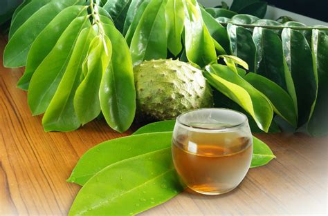 manfaat air rebusan daun asam jawa