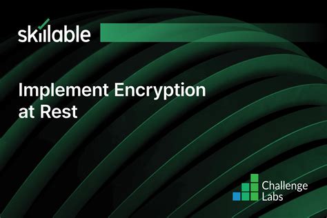 Image result for Encryption at Rest Explained