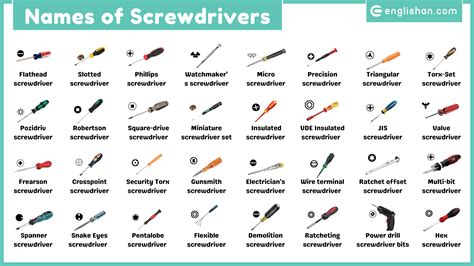 Types of Screwdrivers Names