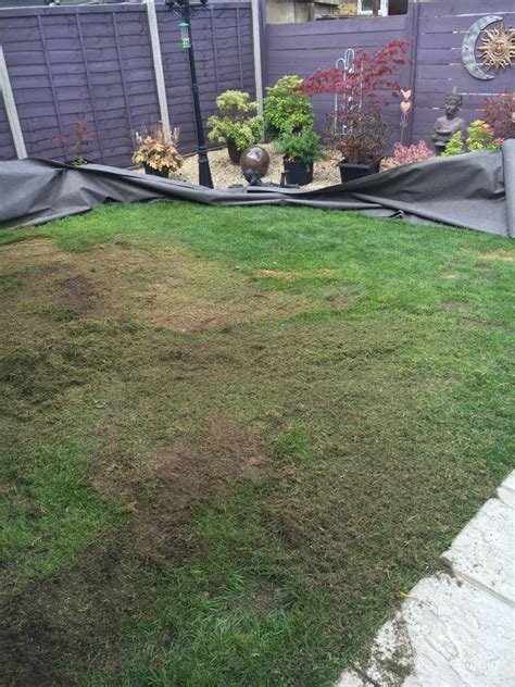 Image result for Astro Turf Installation Guide