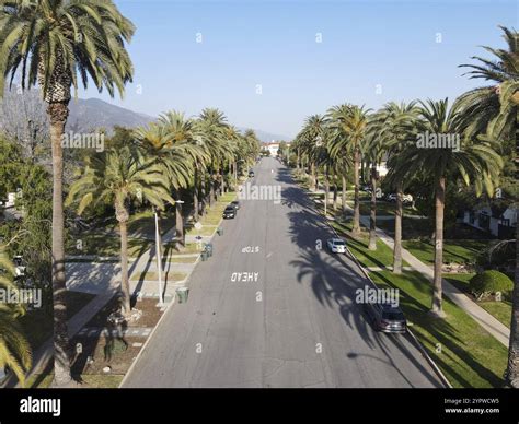 Aerial view of palm tree lined Street in Pasadena neighborhood in ...