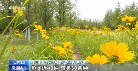 临沂37座大中型水库总蓄水量8.73亿立方米-在临沂