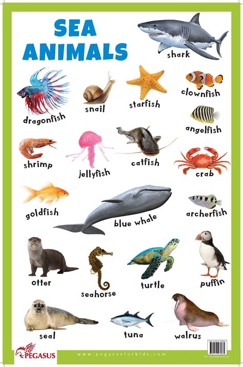 Buy Sea Animals - Thick Laminated Primary Chart – 1 January 2018 Online ...