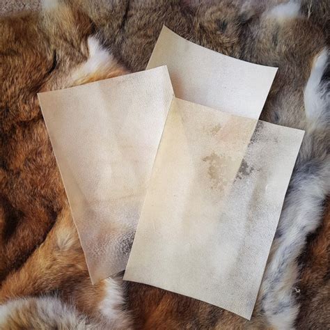 Buy Vellum Online In India - Etsy India