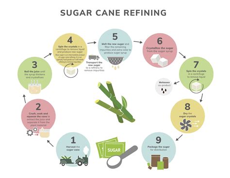 Refining & Processing Real Sugar | Sugar.org
