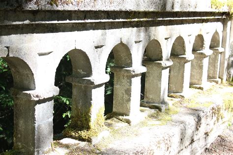 Python for Arch Bridge 的图像结果