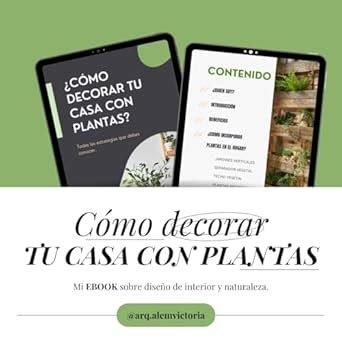 ¿CÓMO DECORAR TU CASA CON PLANTAS?: Todas las estrategias que debes ...