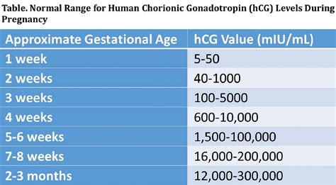 Beta HCG i njegove vrednosti - šta znači rezultat više od 5