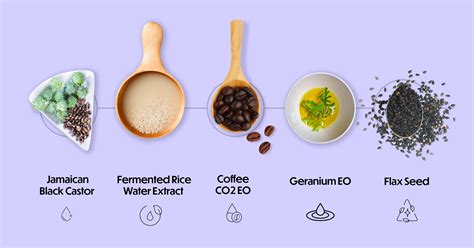 Buy Curlvana Ultimate Curl Kit - Shampoo, Conditioner, Leave-in Cream ...