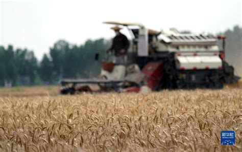 全国“三夏”大规模小麦机收全面展开_收割机_江苏_农业