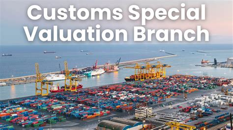 SVB Registration Process Done Fast in 2025 | SVB in customs