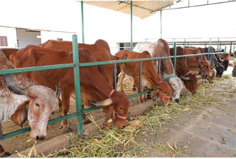 Hebbevu - India's Only Managed Farmland Company Supporting Its ...