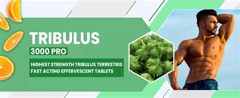 Buy Tribulus Terrestris 3000 Pro Gokshura 20 Tablets – Naturyz