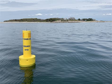More sharks spotted near Block Island - The Boston Globe