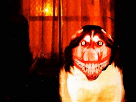 What Does Smile Dog Do