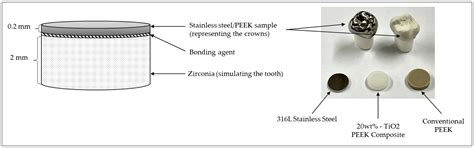 Tribological Behavior of TiO2 PEEK Composite and Stainless Steel for ...