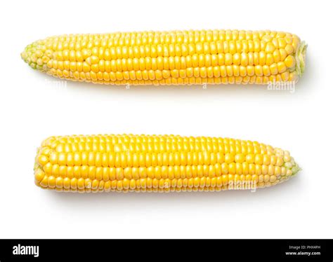 Ear of corn ears hi-res stock photography and images - Alamy