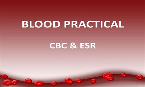 complete blood count with erythrocyte sedimentation rate