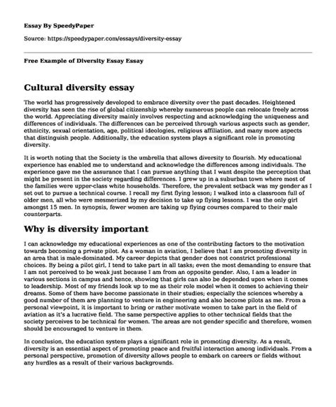 Diversity Essay Examples 的图像结果