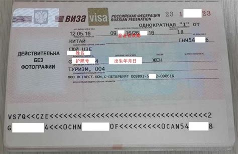 俄罗斯留学签证类型—顺顺留学