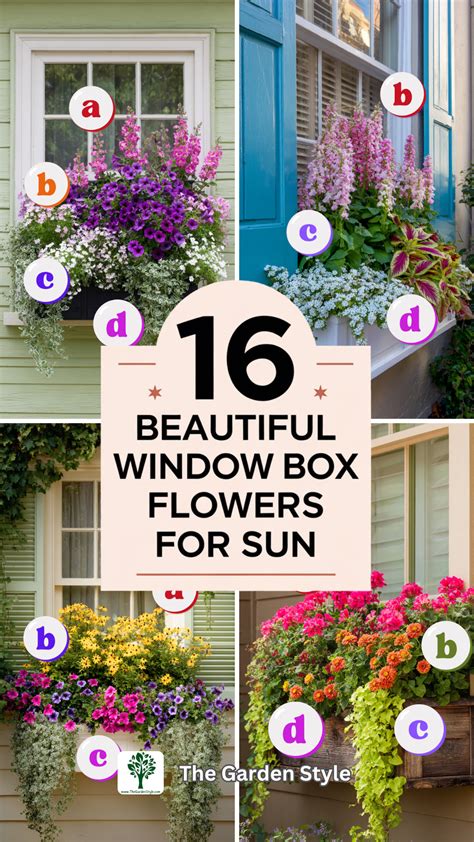 16 Beautiful Window Box Flower Recipes for Sun | Window box flowers ...
