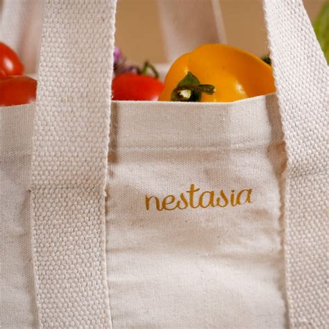 Everyday Canvas Vegetable Bag Set Of 2 Online - Premium Tote Bag | Nestasia