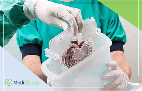 Как проходит трансплантация почки | Medical Tourism with MediGlobus ...