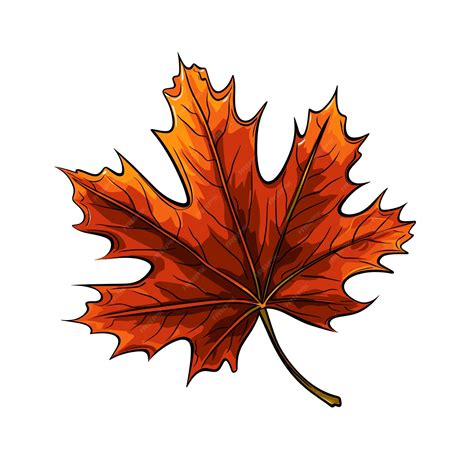 Premium Vector | Hand drawn flat color maple leaf illustration