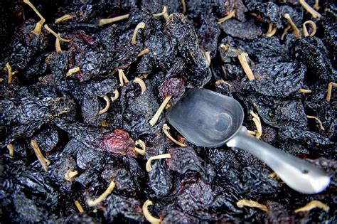 What Is an Ancho Chile Pepper?