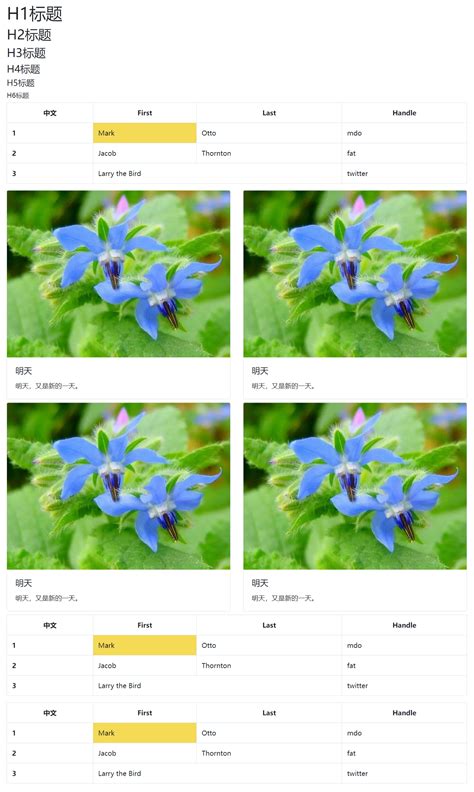 Html2pdf JavaScript 的图像结果