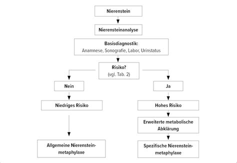 Diagnostik und Metaphylaxe von Nierensteinen - Nephrologie ...