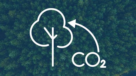 Carbon removal is the latest way to fight climate change — but will it take off in time to save the