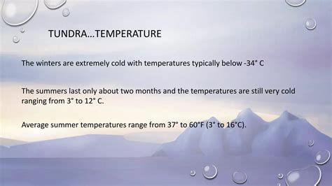 Tundra Biome | PPTX