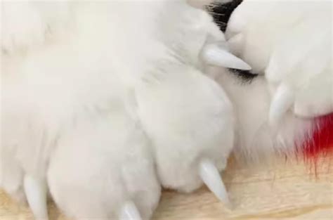 Kemono Eyes Fursuit,Supple Furry Fursuit India | Ubuy