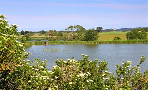 HASSLARPS DAMMAR (2026) All You Need to Know BEFORE You Go (with ...