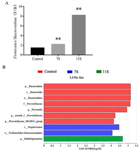 Soybean Antigen Protein-Induced Intestinal Barrier Damage by Trigging ...