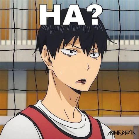 Best Anime Merchandise in India | Anime Devta