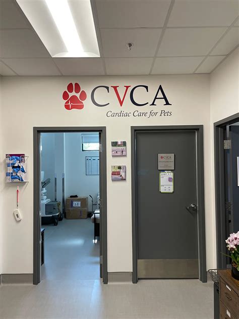 Southern Vet Partners – Vision Sign Group